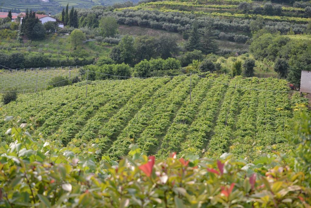 Corte Tamellini Soave  Exterior foto